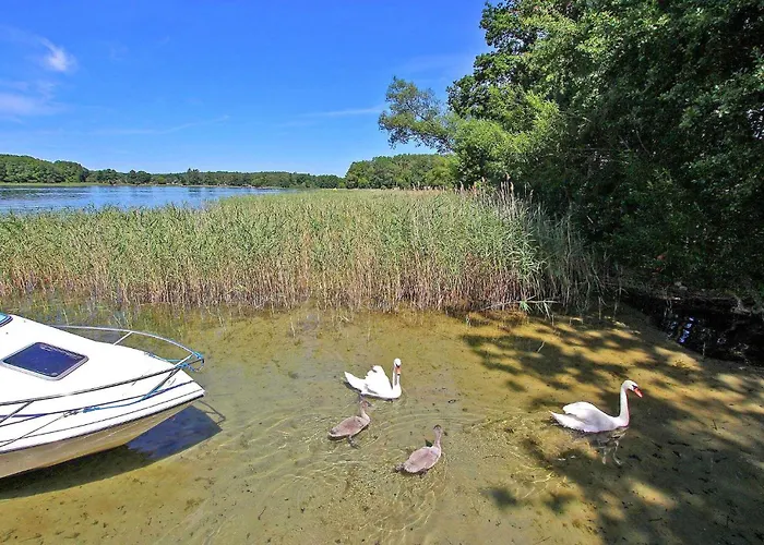 Holiday home Rheinsberg Scharfenberg